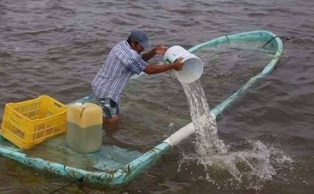 TheBlackSheep99's tweet photo. me trying to save my grade with a week left in the semester https://t.co/HiE9xCxDlZ