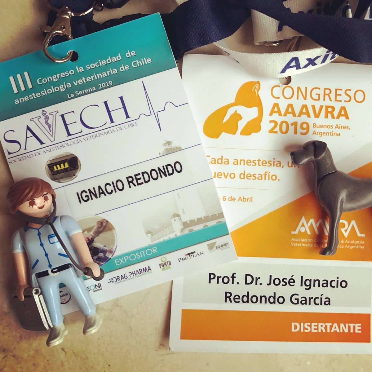 nachorredondo's tweet photo. Dos congresos en dos países maravillosos. Ciencia y pasión unidas #anestesia #veterinaria #AAAVRA #Argentina #SAVECH #Chile https://t.co/nY8WKsspYy