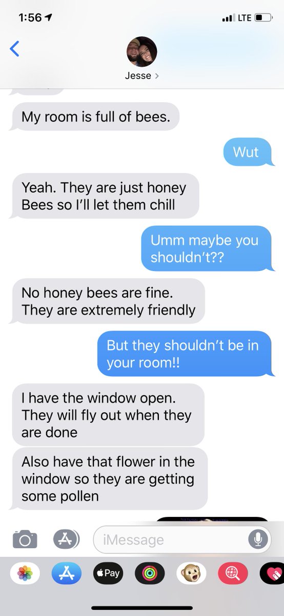 hadleywhicker's tweet photo. Apparently I’m dating a beekeeper??? https://t.co/nu1Hc1nfXY