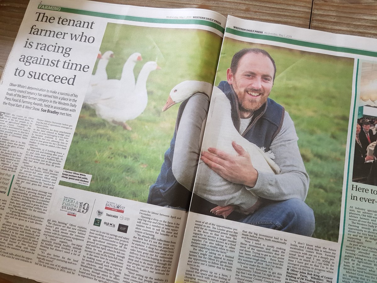 Oliver White tweet media