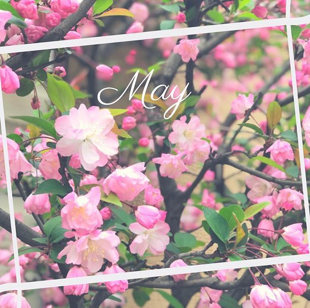 2019年もあっと言う間に
5月に✨

そして今日から令和が幕開けですね。

新たな時代が
すこやかで、笑顔の華ひらく年と
なりますように♡

#令和 
#新たな時代 bit.ly/2J9zuCG