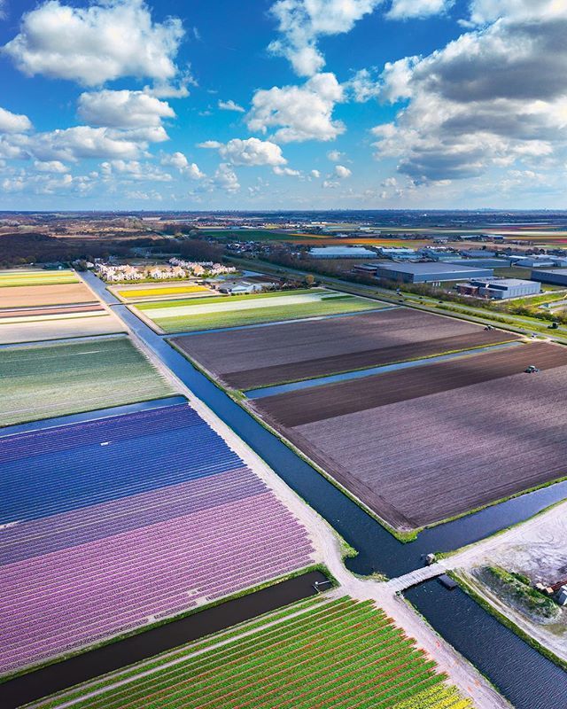 InvaSla's tweet photo. May 1st and we couldn’t resist to share some flowers. 
#DJICreator #DJIGlobal #Mavic2Pro https://t.co/1M3jZe6Ryo https://t.co/2RDUDAffdJ