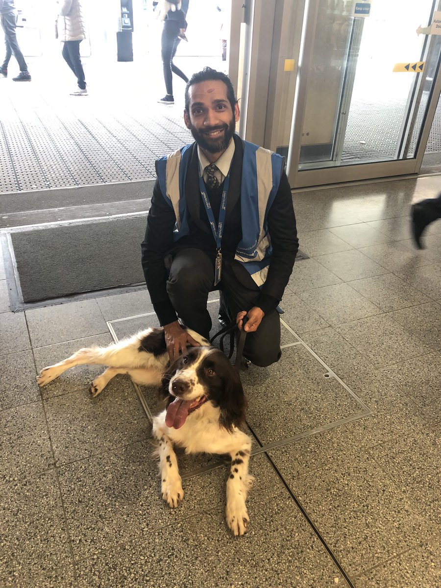 MPSCityAirport's tweet photo. PD Ronnie (Lab) & PD Foley @MetTaskforce stole the show @LondonCityAir during a #ProjectServator Deployment. We’re very privileged to have such keen Noses & Handlers! #dogwatch #workingdogs #jointupworking #patrols #labrador #blacklab #spaniel https://t.co/xiaH4nYOR6