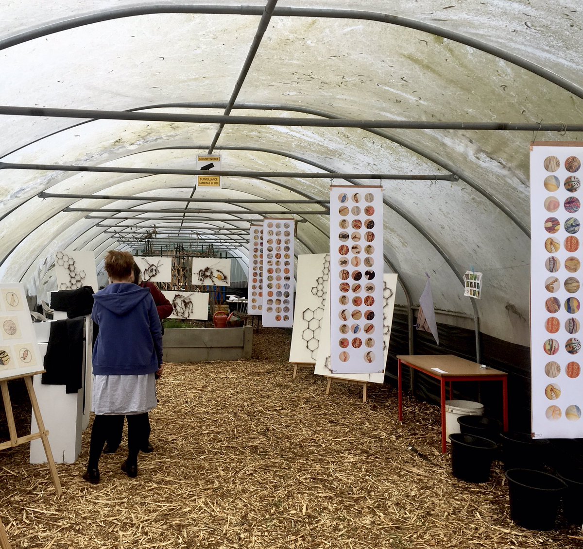 BoundaryWay's tweet photo. Find out more about the #beyondnessofbees gathering last Saturday in our latest blogpost by @artofbeingholly - an #artsandscience project magnifying the world of bees π https://t.co/wyqOf98uVt https://t.co/1XilOarWxD