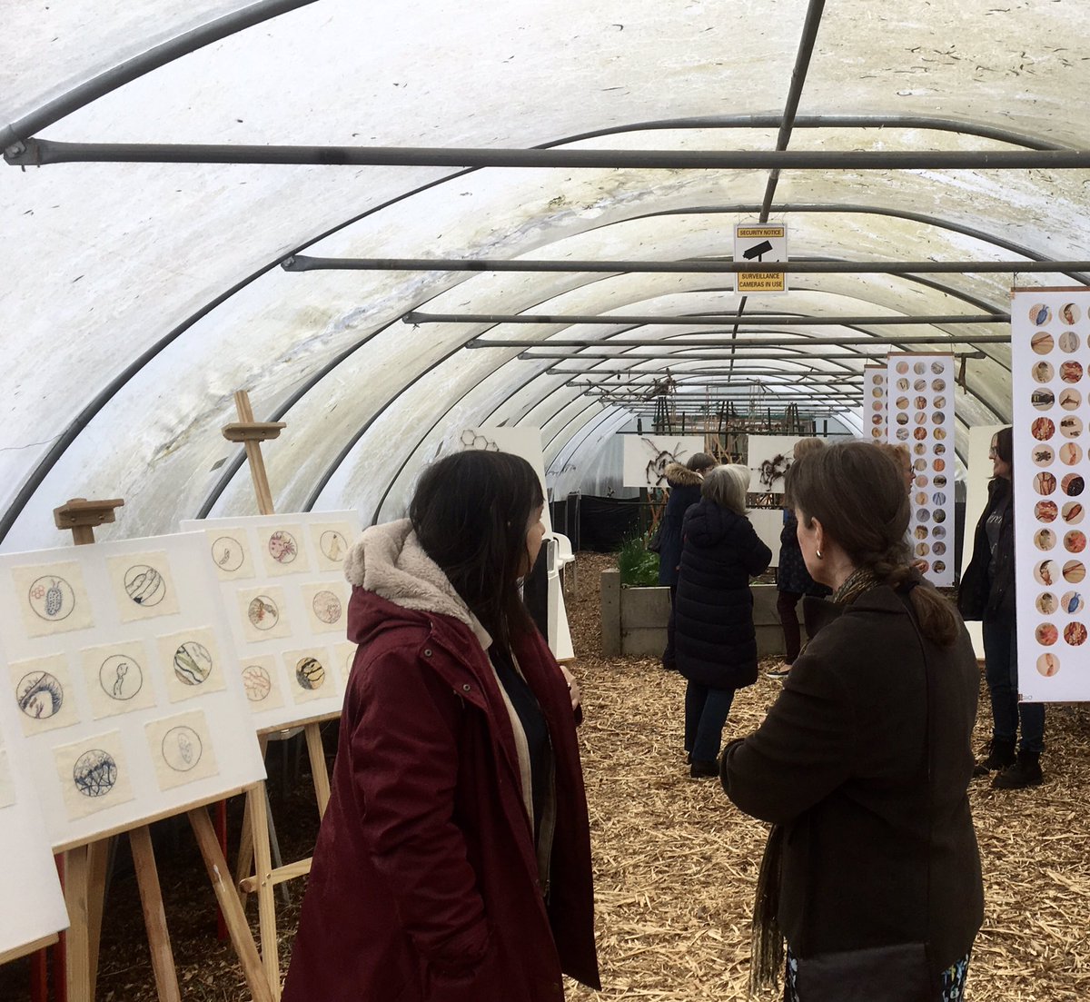 BoundaryWay's tweet photo. Find out more about the #beyondnessofbees gathering last Saturday in our latest blogpost by @artofbeingholly - an #artsandscience project magnifying the world of bees π https://t.co/wyqOf98uVt https://t.co/1XilOarWxD