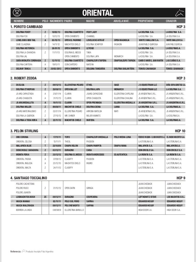 Polo Argentino tweet media