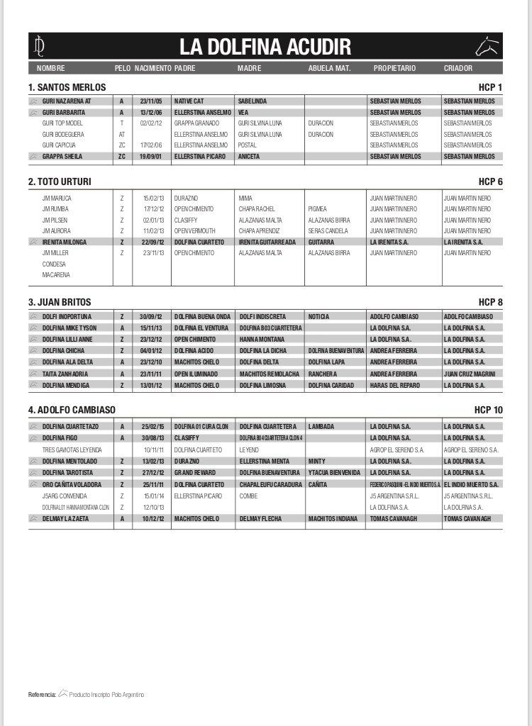 Polo Argentino tweet media