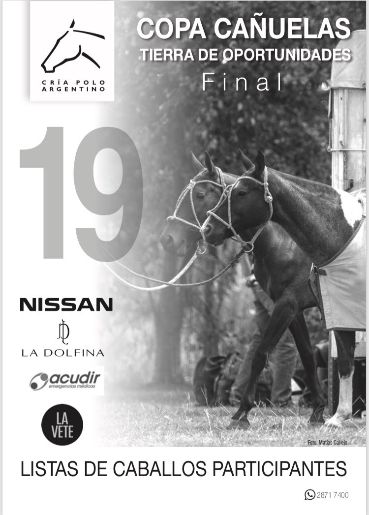 Polo Argentino tweet media