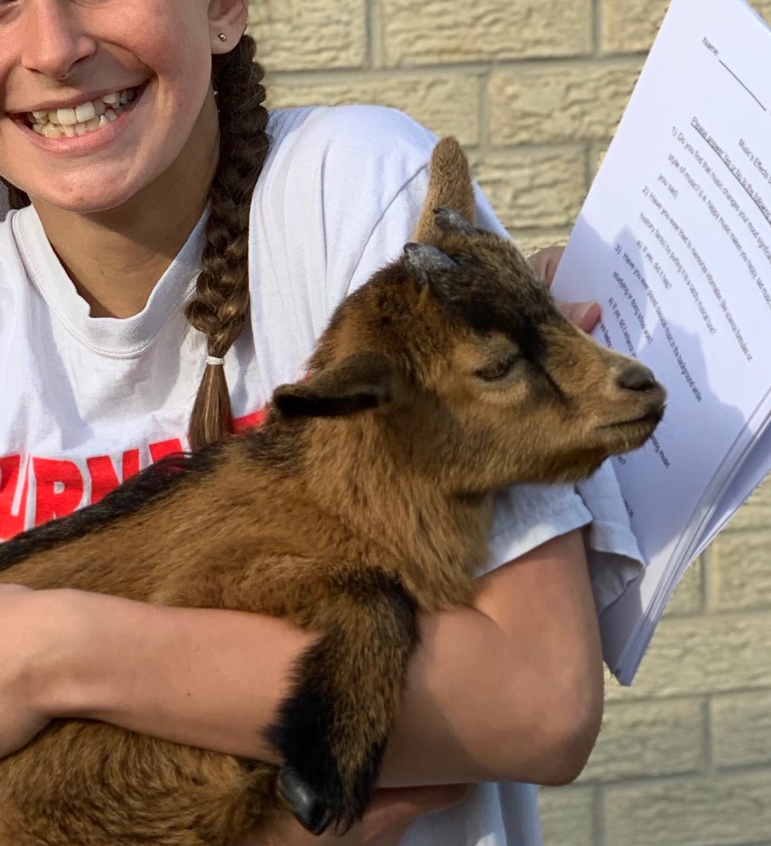 pgbrown92's tweet image. Hey @WeissHighSchool ... This is Bruce. Bruce is studying hard to pass his classes. Be like Bruce. Go to power hour tutorials and study hard! @WeissCte @WeissFootball @WeissCheer @WeissBands @WeissStuCo