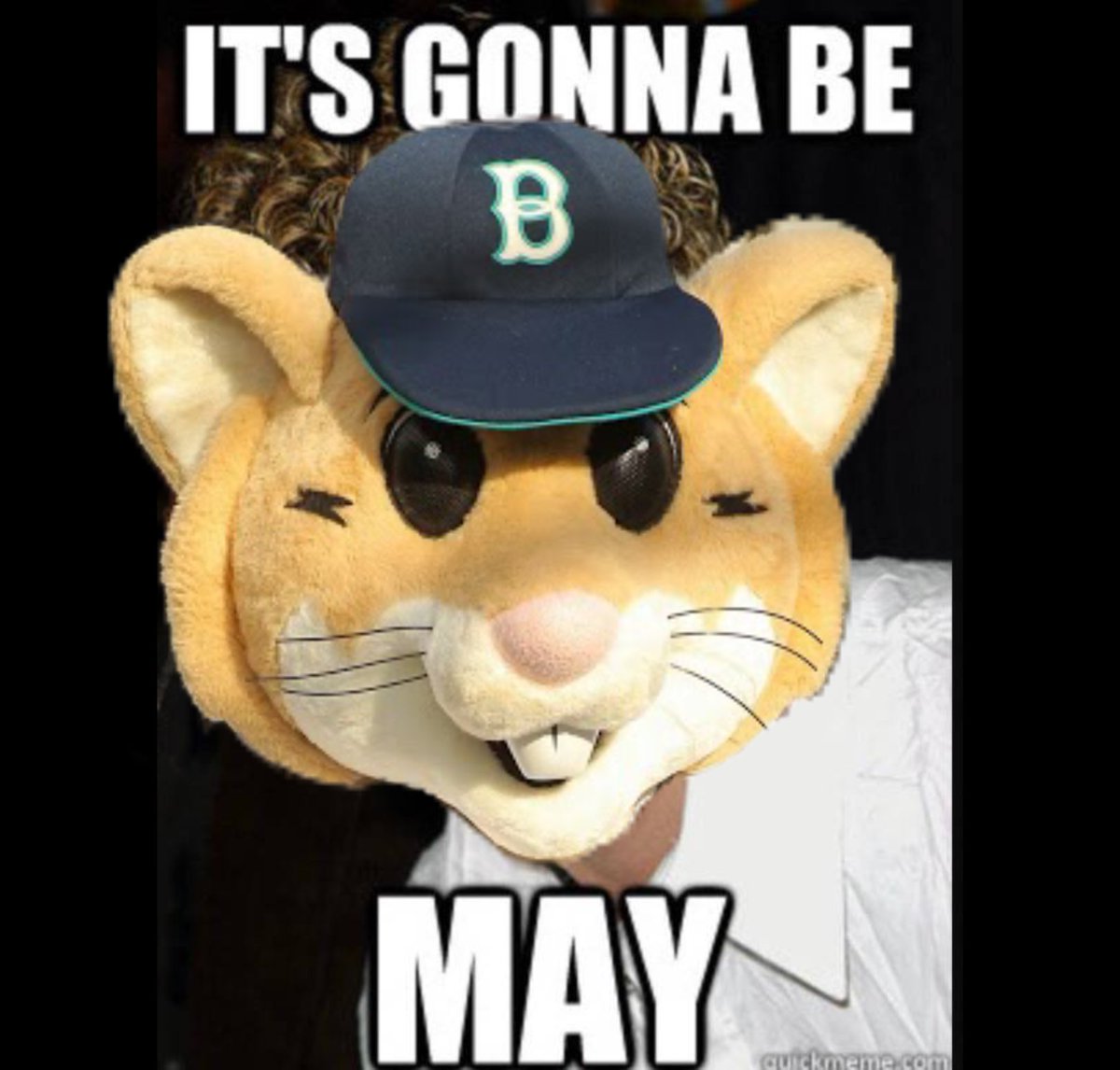 Guess what day it is...👀