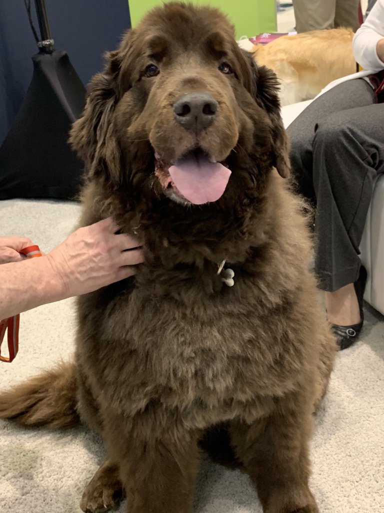 WorkCompWire tweet media