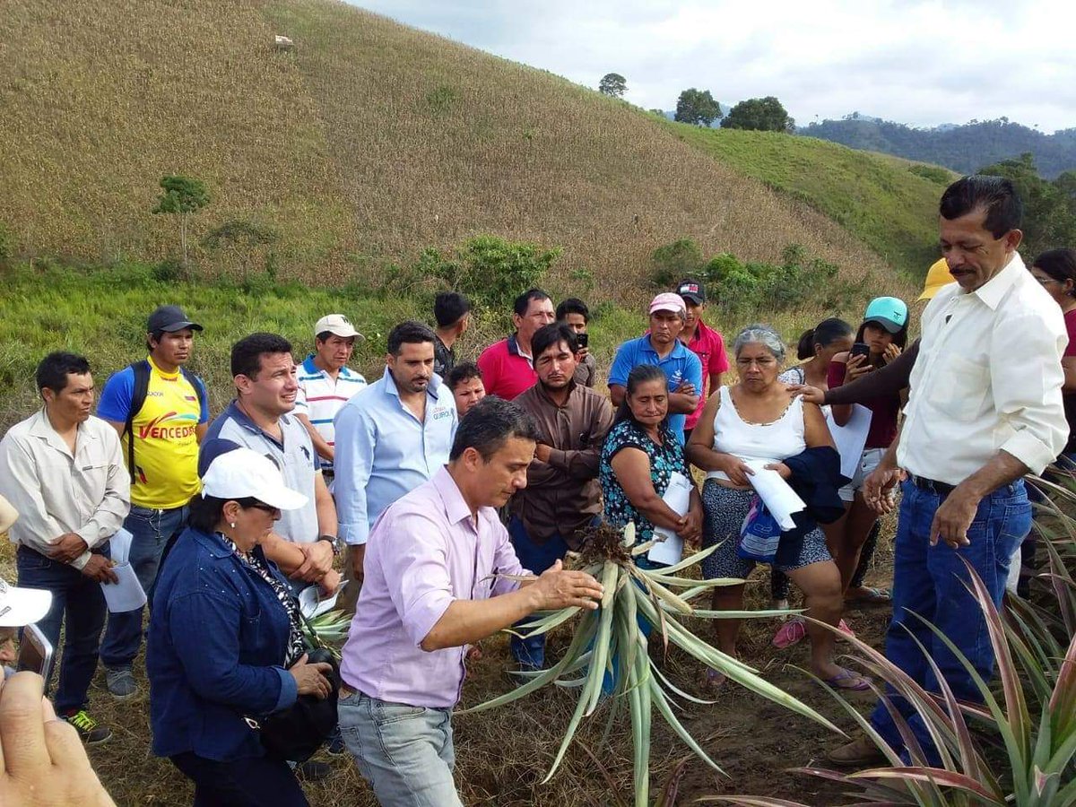 Nuestro saludo reverente a todos quienes con esfuerzo y dedicación hacen que nuestra provincia brille con grandeza.
#FelizDiadelTrabajador
#DíadelTrabajo
#ElOro