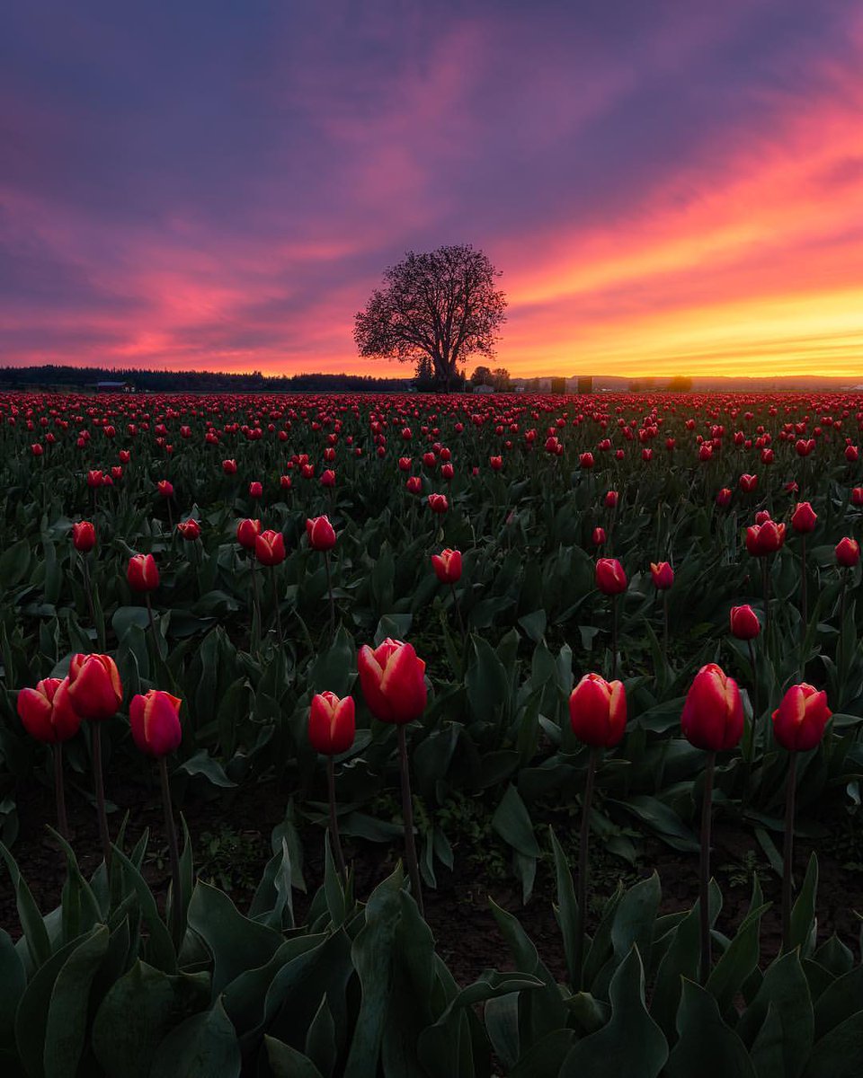 landography's tweet photo. Beautiful Travel and Landscape Photography by https://t.co/9bJa9Svni9 Ken Furman #travelphotography #landscapephotography https://t.co/X8Zg2u00fN