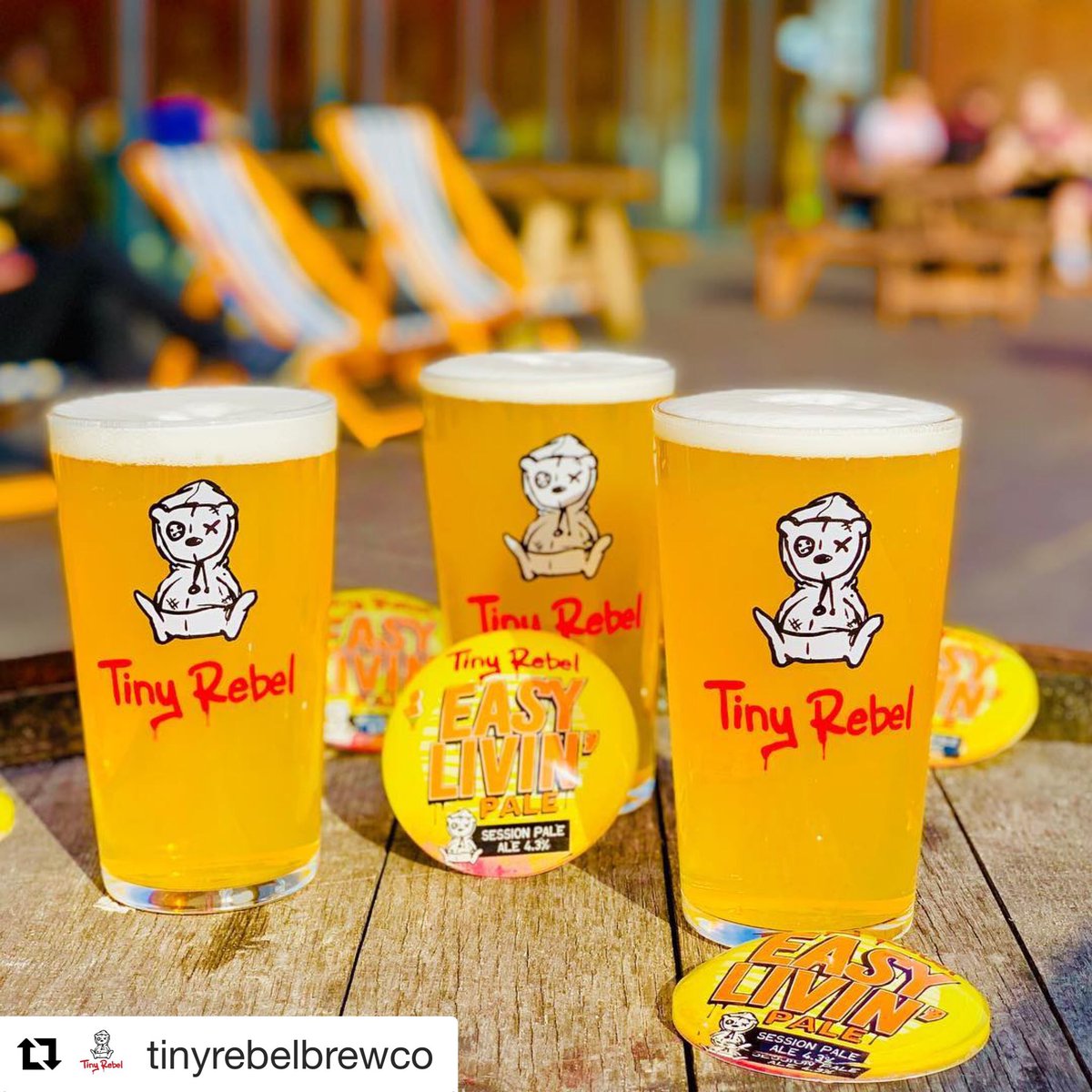 TinyRebelNpt's tweet image. Who else is hoping for the sunshine this weekend? Well fear not as we will have sunshine in a glass launching tomorrow!
Easy Livin’ 4.3% session Pale on keg! Come sit back and relax! 🌞 
🍻 #tinyrebel #sessionpaleale #craftbeer #lovebeer #paleale #sunshine #brewerybar #easyliving