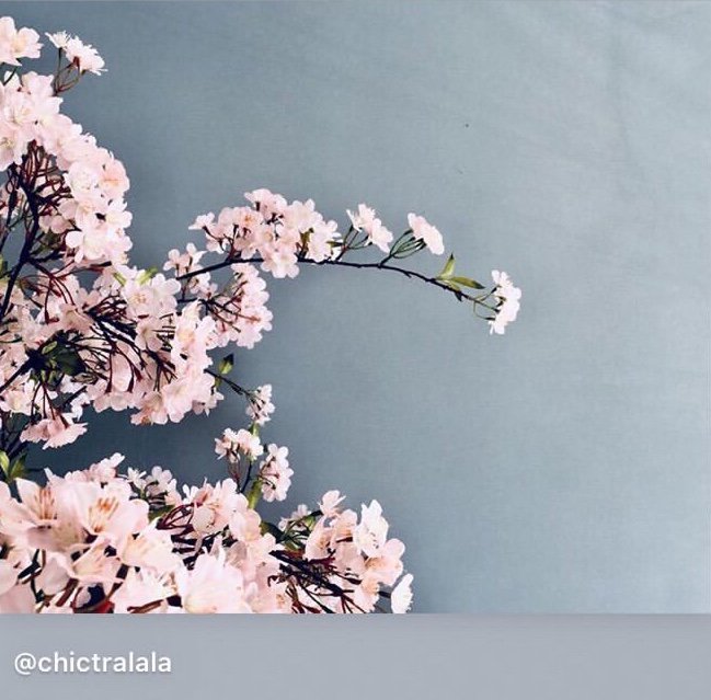 colourstandards's tweet image. Our luxury paint in Moonstone grey in a particularly Spring-like shot from our very first paint stockist, Chicetralala in Sevenoaks. #colour #paint #designinspiration #decor #paintpioneer #britishcolourstandard #interiordesign