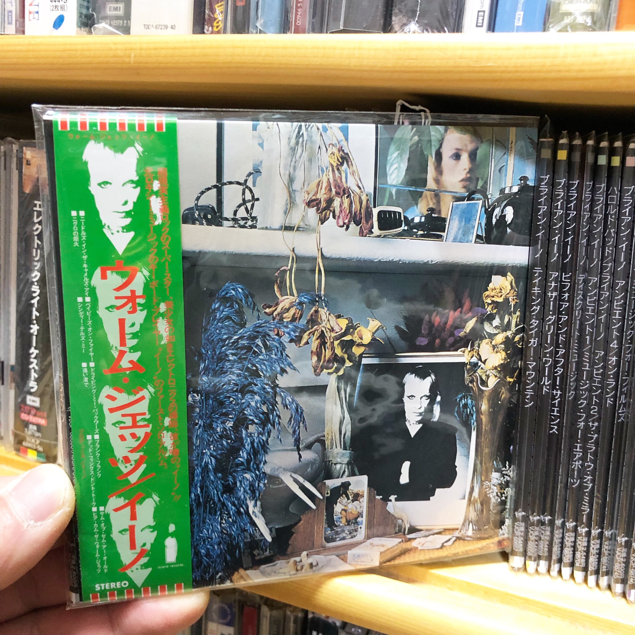 白土能之 Nowplaying Eno Here Come The Warm Jets 1974 Brianeno Egrecords Islandrecords Virginrecords Papersleeve Cdcollection Rock Glamrock Artpop T Co Qubgbctkx5 白土能之 Nowplaying Eno Here Come The Warm Jets 1974 Brianeno Egrecords Islandrecords Virginrecords Papersleeve Cdcollection Rock Glamrock Artpop T Co Qubgbctkx5