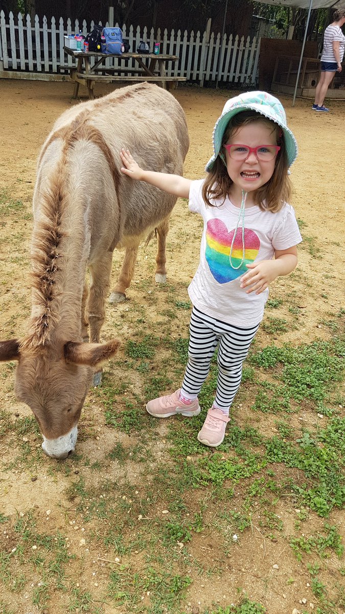fernandarocco3's tweet photo. Going on a field trip is so much fun! Today nursery kids had the opportunity to ride a horse, and pet some goats, a pony and a donkey.  They also learned how to be gentle with the animals using kind hands. What an amazing day!  #CISinspires #cisnursery #equestriancenter https://t.co/UhhZXnuMS5