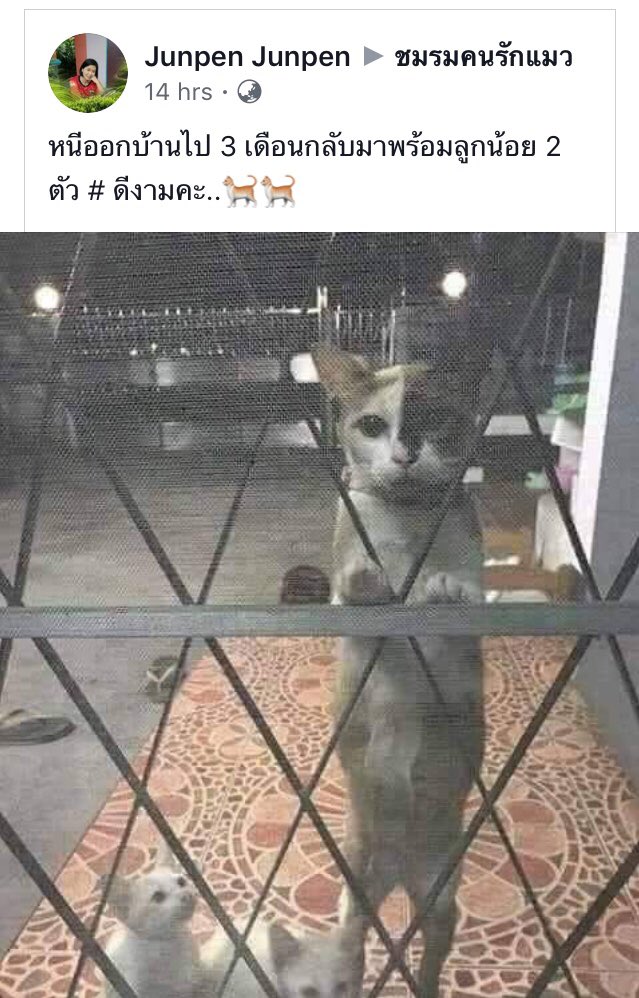ไอเลิฟหนมแงวเลีย tweet media