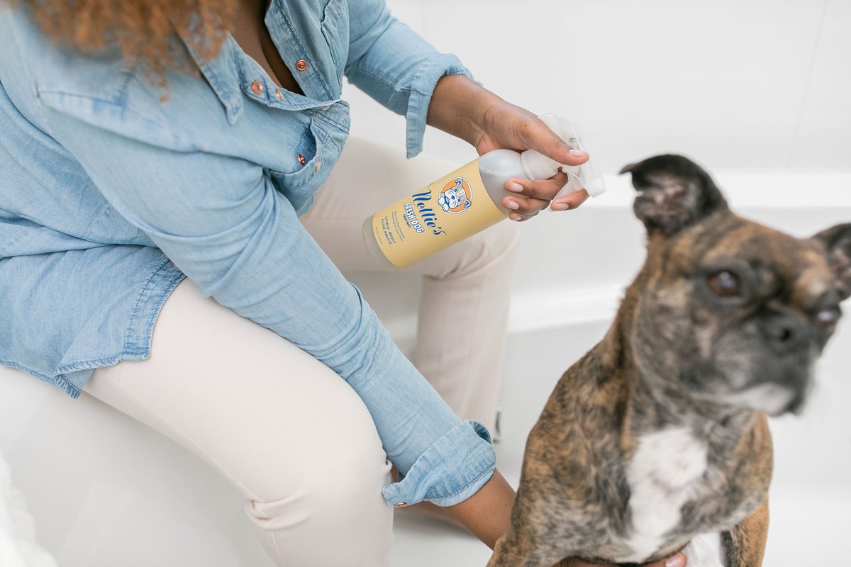 Nellie's tweet media