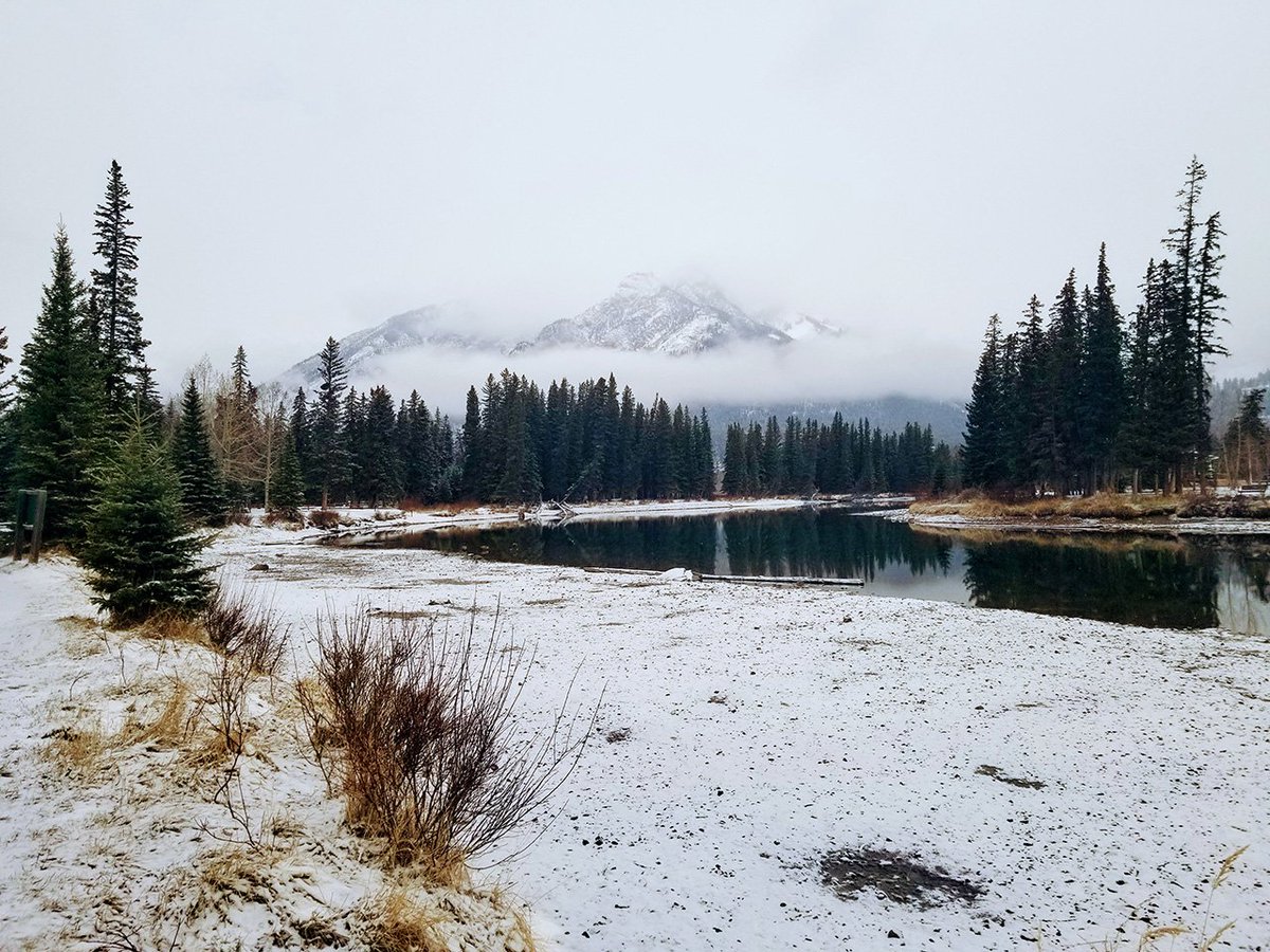 Banff National Park, Parks Canada tweet media