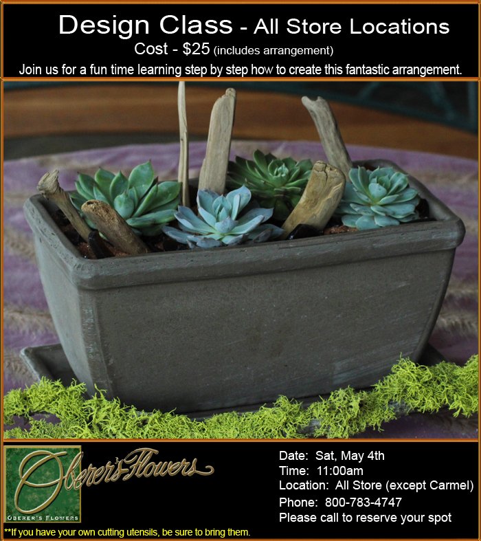 Oberers Flowers Promo Code Best Flower Site