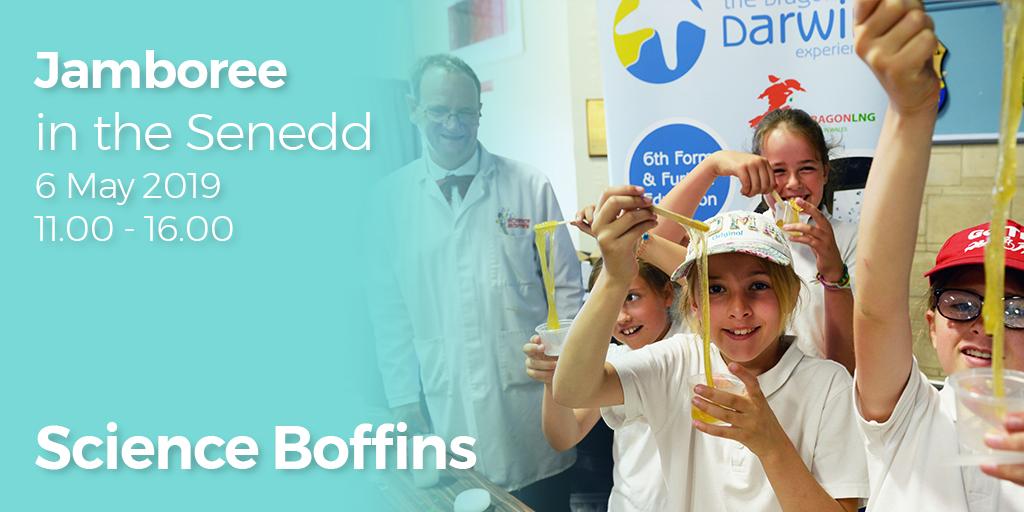 PaulDaviesPembs's tweet image. Visit the Assembly on Bank Holiday Monday (6th May)
Come along and help build your Wales out of Lego bricks
There will be an opportunity to learn more about the work of the National Assembly and of Assembly Members.
#Devolution20
#Datganoli20