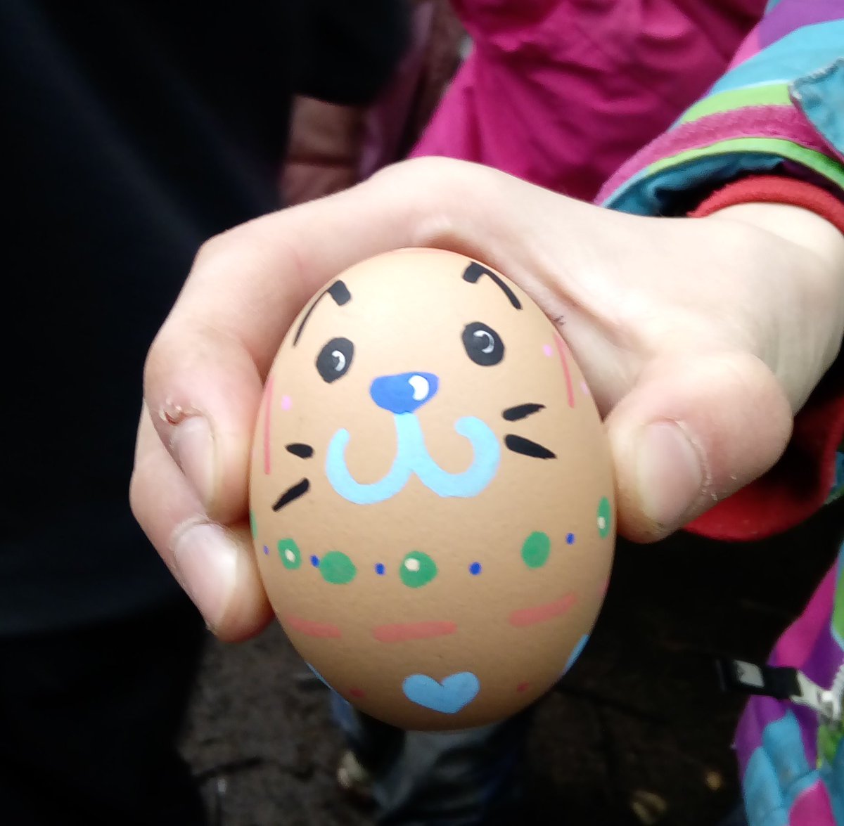 OWLS_Ireland's tweet photo. OWLS Try it at Home Challenge is back!! We may be a day late with our April Challenge but it still counts! Give Egg Painting a shot or any of our past monthly challenges at https://t.co/FEacrEorDu and see what you can make! https://t.co/r3x186aAB1