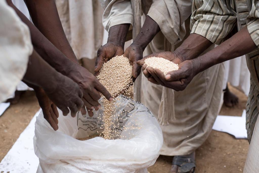 mfjhollingworth's tweet photo. 😃 Today we signed the new agreement between @WFP #Sudan &amp; the Ministry of Agriculture; a framework for 🇸🇩 to meet its future food security needs. Fantastic to work with so many #women ♀ committed to working towards “#TasgotBass to Hunger &amp; Malnutrition”! https://t.co/GfHPRLgJXP