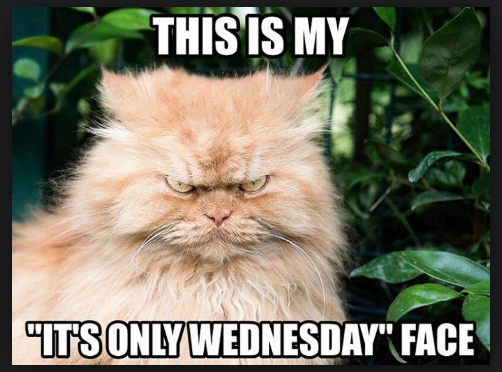 Free_Lotto's tweet photo. Make Wednesdays better with https://t.co/UYGoItxJ2a https://t.co/HWBTCiYQjL