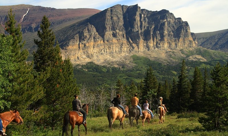 HassCho's tweet image. Glacier Horseback Riding, Montana.