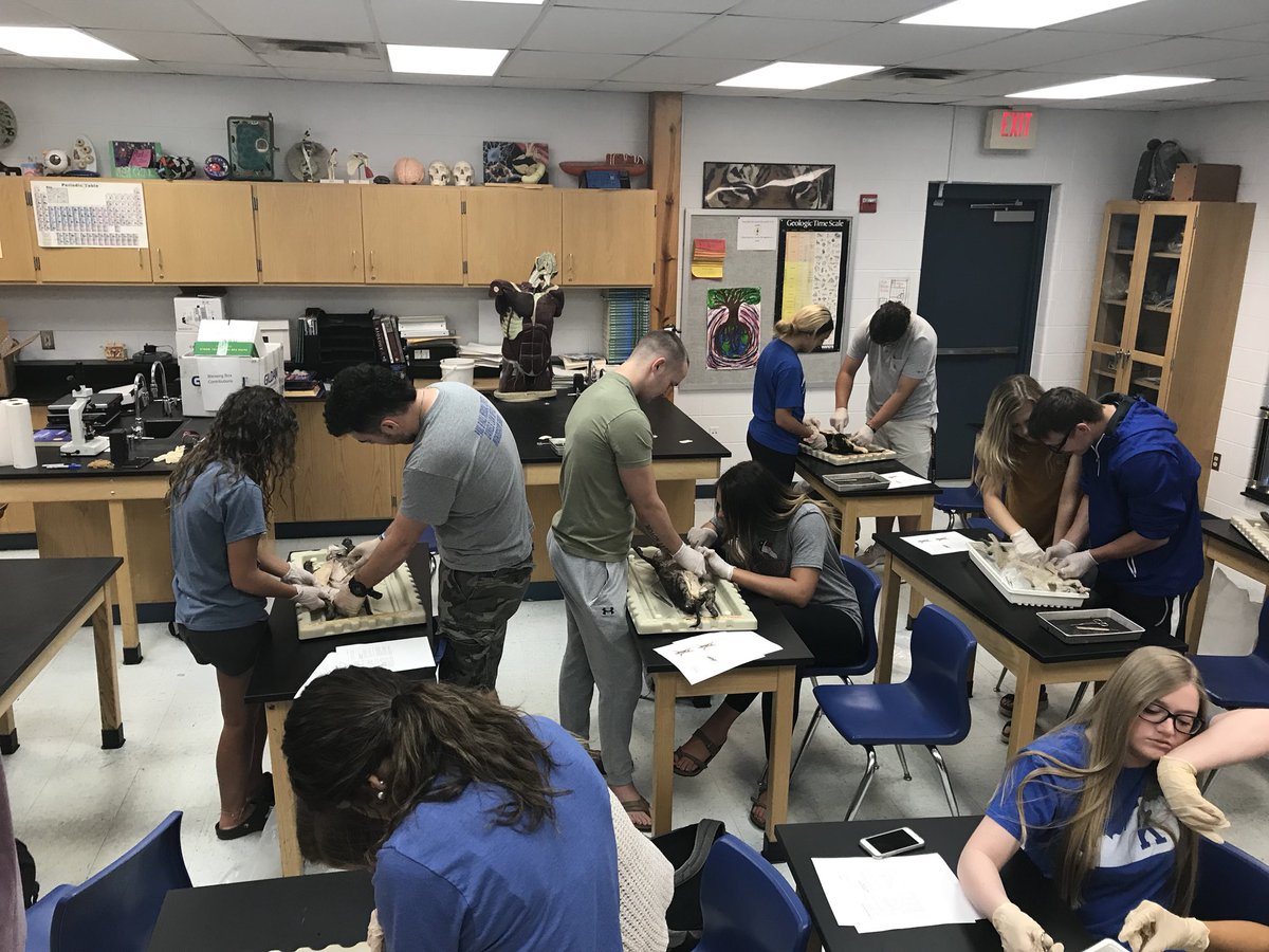 JackOusley's tweet photo. Cat dissection starting today. https://t.co/faM7nSVLvv