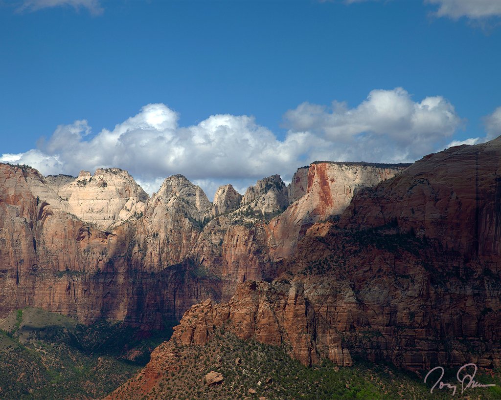 NatureExposed's tweet photo. The harder the hike, the better the views.  

#zion #utah #uniqueutah #utahisrad #NPS #NationalPark #Findyourpark #optoutside #neverstopexploring #rei1440project #travelstoke #earthofficial #natureaddict #awesomeearth #fantastic_earth #nakedplanet #natgeolandscape https://t.co/ULZfClJYFA