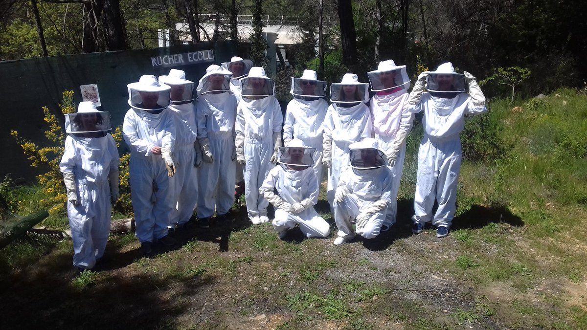 rucherCIV tweet media