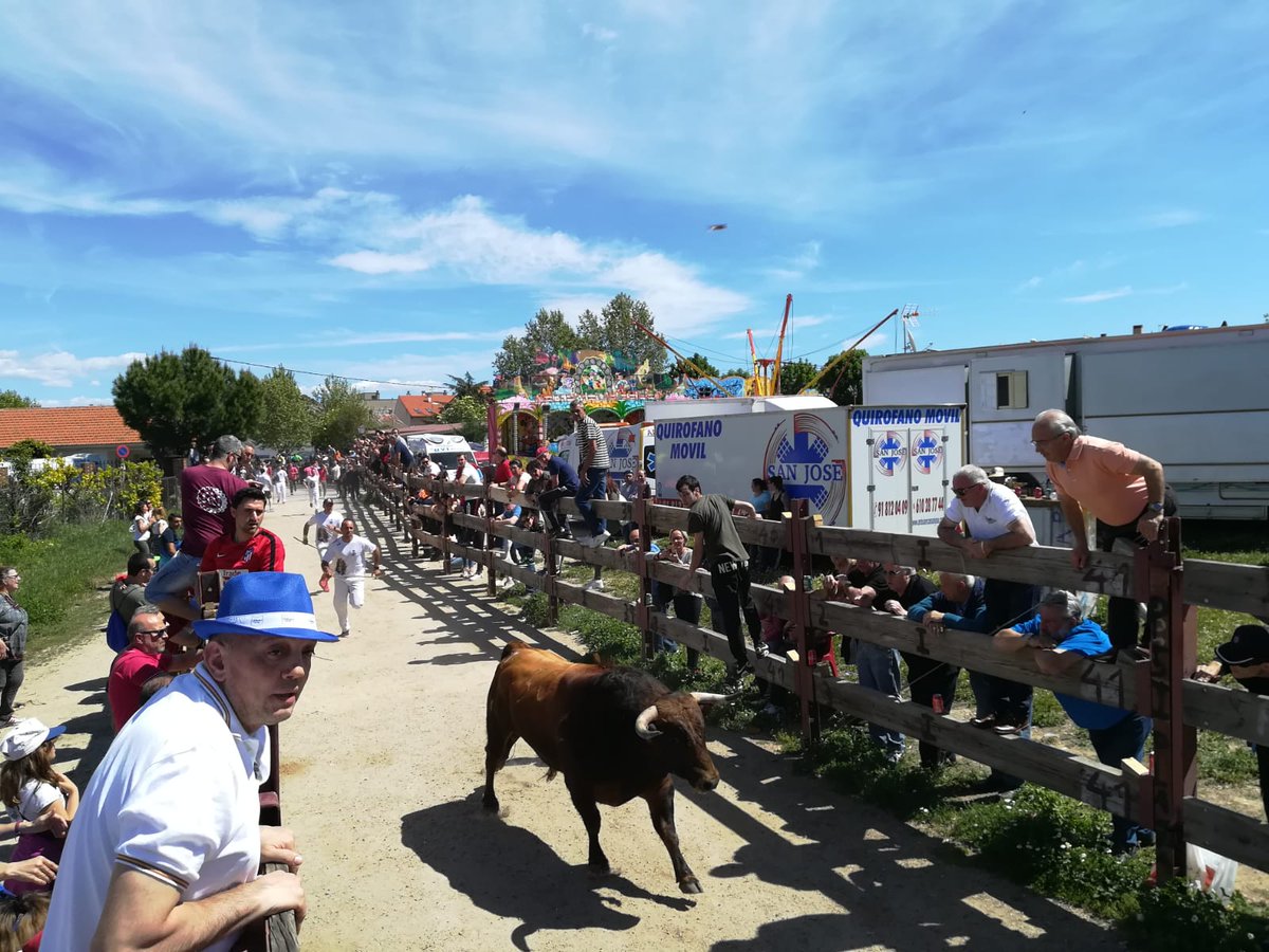 El lunes 29 estuvimos colaborando en los encierros de Talamanca del Jarama