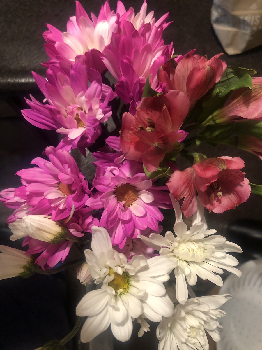 tarawellman's tweet photo. Send me flowers and tell me Iโm pretty.
.
.
.
.
... Iโm kidding. Theyโre from my mom.
Happy May Day!
#Traditions #MayDay #SpeciaDelivery https://t.co/SseU6g0xwk