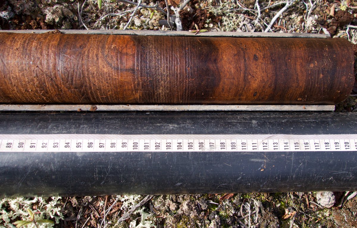 Last comment- it's really fun to sample permafrost peatlands! Look at those beautiful samples. They are largely derived from wood, again reflecting the forested history. Sampling in collapse scar wetlands is really really tough. One part peat sampling, equal parts limnology.