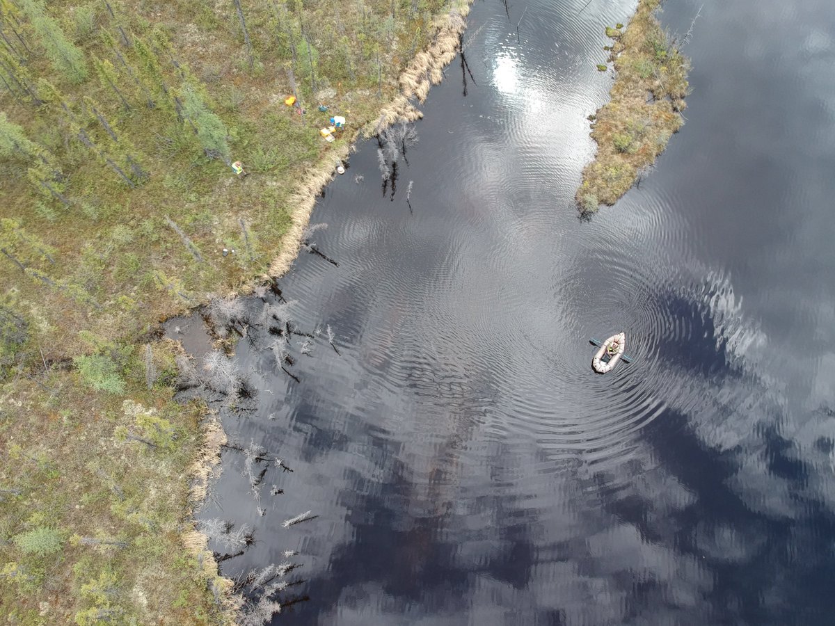 Next - onto abrupt thaw that forms thaw lakes. I intentionally saved this for last, and only because these are the systems that have up until now received the most scientific attention in terms of permafrost carbon release. Image:  @DavidOlefeldt