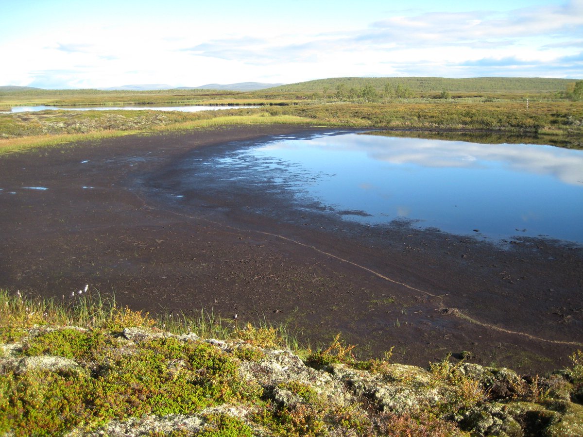 Thaw lakes form similar to thaw wetlands, in flat regions with poor soil drainage. Thaw lakes can become wetlands over time! This is an image of a thaw lake forming in peat-rich soils, and in a decade or so this surely will be covered by wetland plants. Image: Britta Sannel