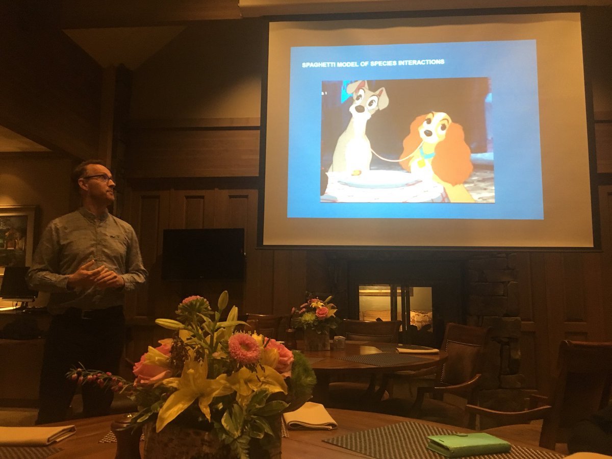 SaoirseT's tweet image. Dr. Postma further develops the root spaghetti model @fz_juelich #IPPNrootphenotyping #model