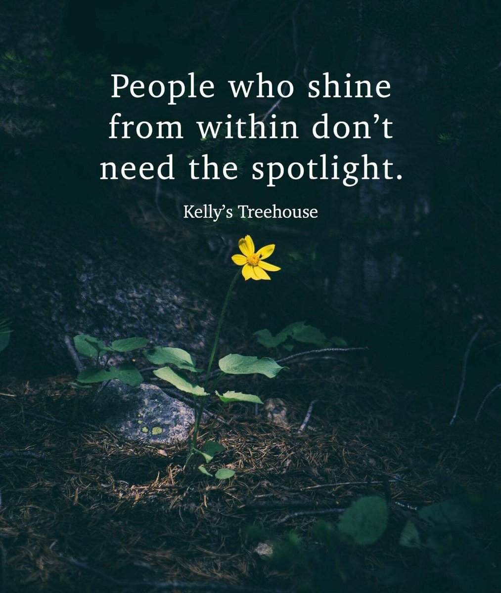 Stacy Middleton 🌻🏝 #WeAreThreshers⚙️ tweet media