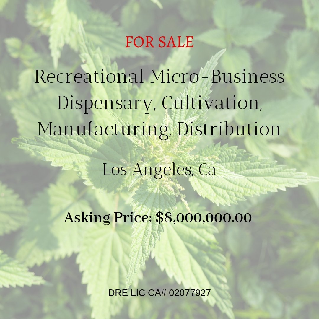 GreenLife_INC's tweet photo. Rare opportunity to acquire a Turn-Key Dispensary in LA county that has been operating for 12 years!
#Cannabis #Business #BusinessOwner #BusinessIntelligence #Dispensary #Microlicense #Retail #WednesdayWisdom #Opportunity #GreenRush #Investment #VentureCapital #MoneyMoves #LA https://t.co/AsJmR7hmWC