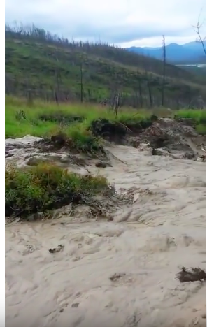 What do we know? We know that gradual permafrost thaw affects cm of permafrost over decades. Abrupt thaw affects meters of soil/sediment in months to years. Check out this wild video showing a thaw-induced landslide in action. 