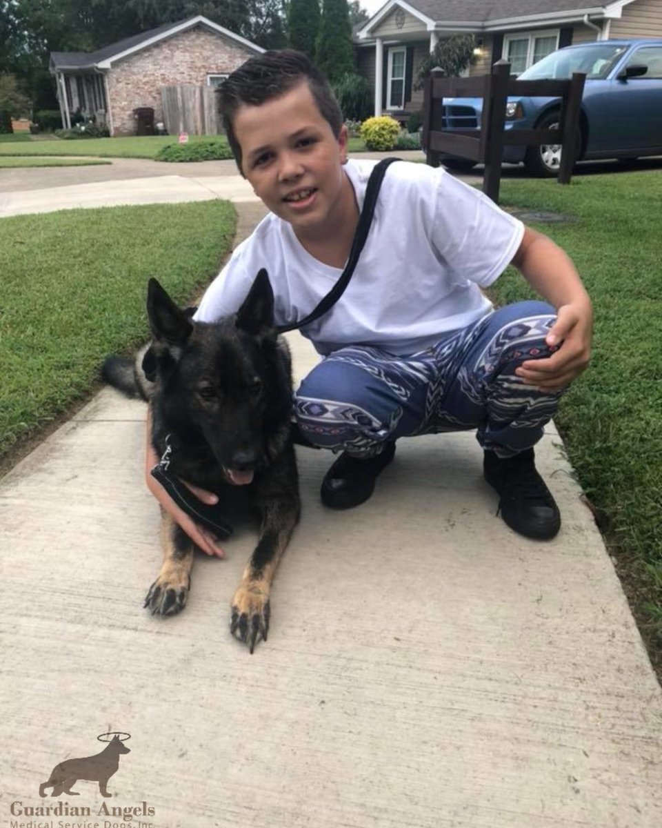 MediServiceDogs's tweet image. ⏰This is IT! 
Less than 24 hours remain to VOTE for Super #ServiceDog, Alice in the #HeroDogAwards!! Please help her out by clicking, sharing &amp;amp; voting!💙🐾
Let&apos;s help her &amp;amp; Recipient Tonio get to Hollywood!😇
herodogawards.org/dog/alice/
#Love #Family #GSD #ServiceDogs #TeamAlice