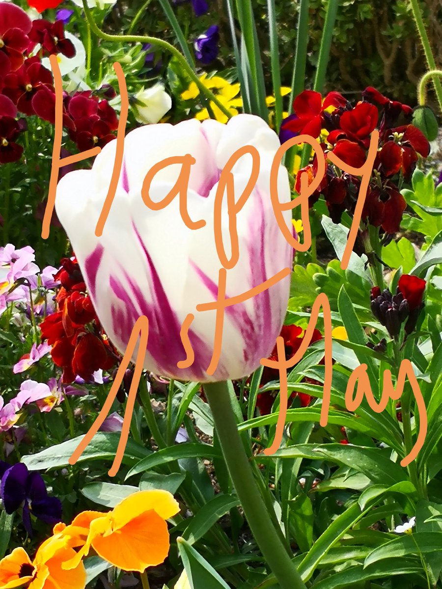FruitvegEUROPE's tweet photo. @FruitvegEUROPE team wishes you a happy, wonderful and relaxing 1st May!!
Enjoy this day with #tasty 🇪🇺 F&amp;V!! 
#EnjoyEatingEU
We ♥️ 🇪🇺 F&amp;V https://t.co/SiFkHpfu8d