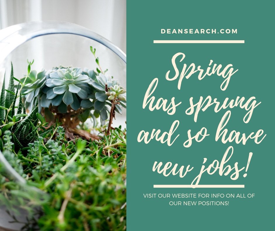 DeanSearch's tweet image. 