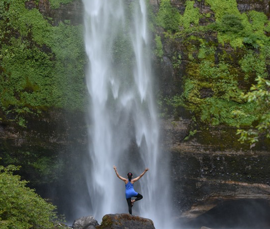 LANDED Travel tweet media