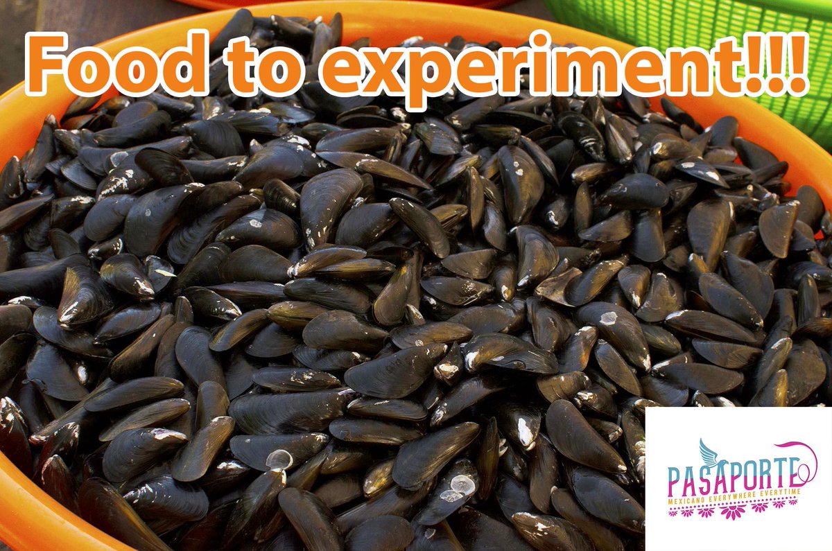 Food to experiment!!! Mussels are nutritious and super-satisfying to bring flavour to your plate. Oaxaca, Mexico