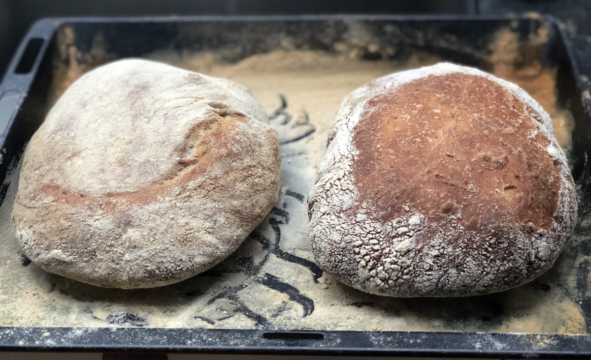 CathMurray_'s tweet image. I think I've perfected it. Only slightly perturbed that Tory sourdough cultivated by @lehain and @trussliz is growing in my fridge #BreadEd