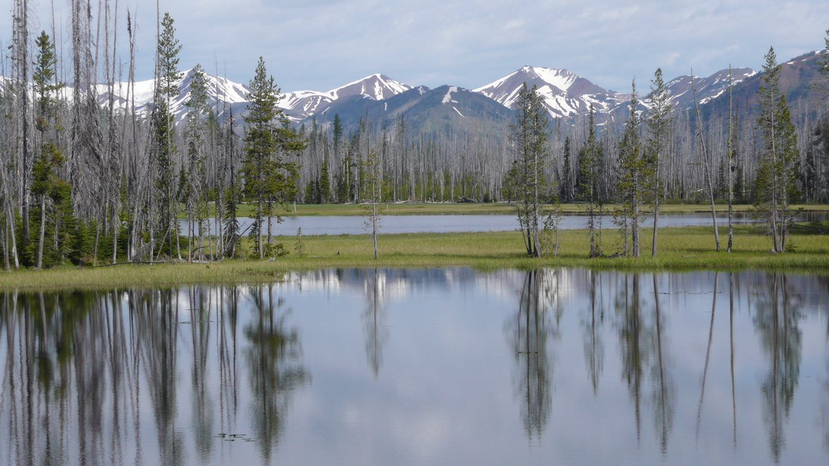 ForestServiceNW's tweet photo. "Water is the driving force of all nature."

--Leonardo da Vinci #WildernessWednesday https://t.co/0qpdmPKUfz