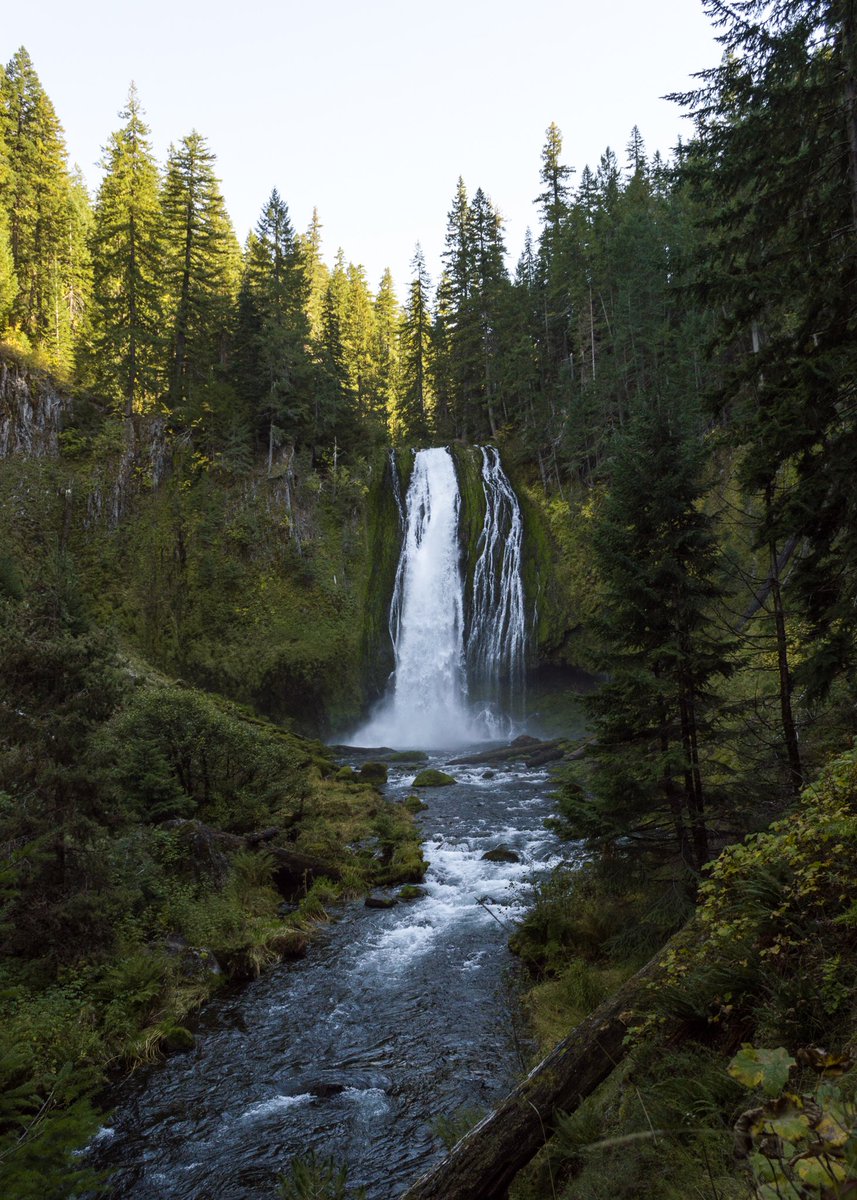 ForestServiceNW's tweet photo. "Water is the driving force of all nature."

--Leonardo da Vinci #WildernessWednesday https://t.co/0qpdmPKUfz